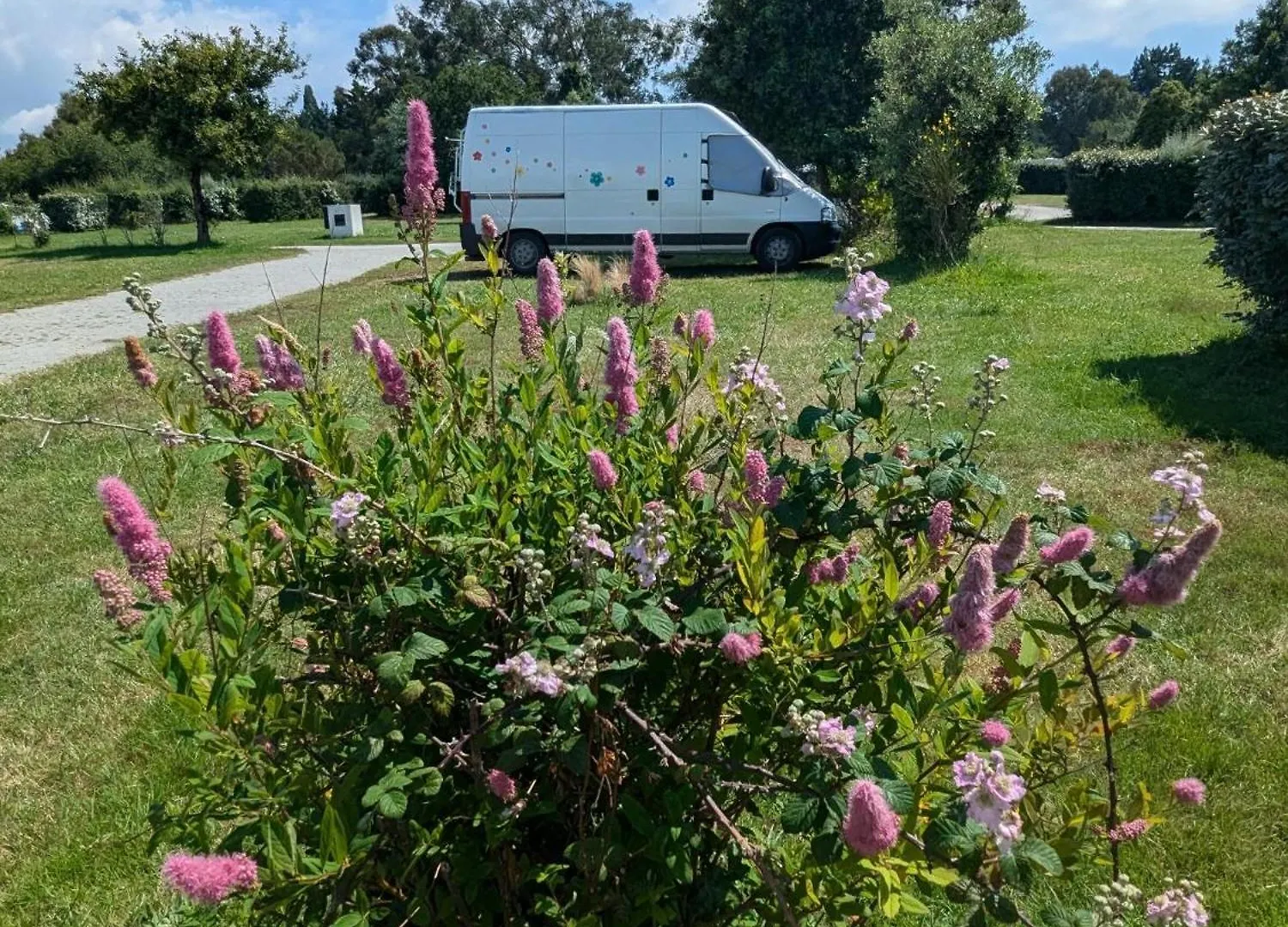 Camping Municipal Tindio Arzon 0*,  France